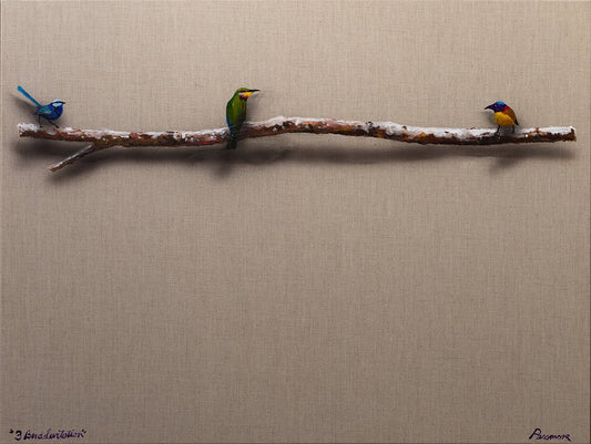 3 Bird Levitation - Fine Art Prints - LIMITED EDITION - Studio One Noosa