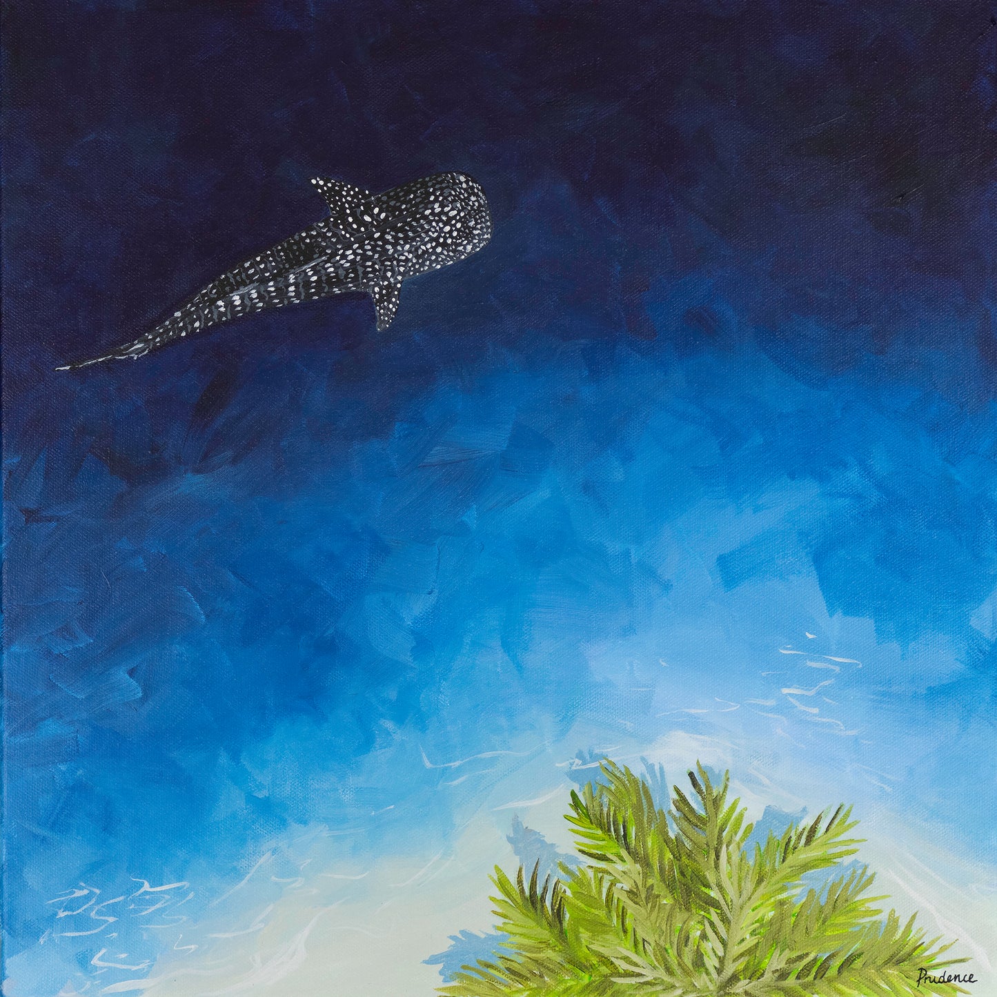 Whale Shark Paradise II - Fine Art Prints
