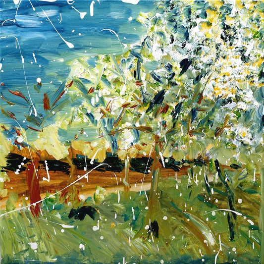 Arles - Fine Art Prints - LIMITED EDITION - Studio One Noosa