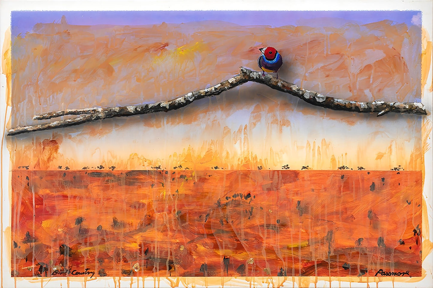 Bird Country - Fine Art Print - LIMITED EDITION - Studio One Noosa
