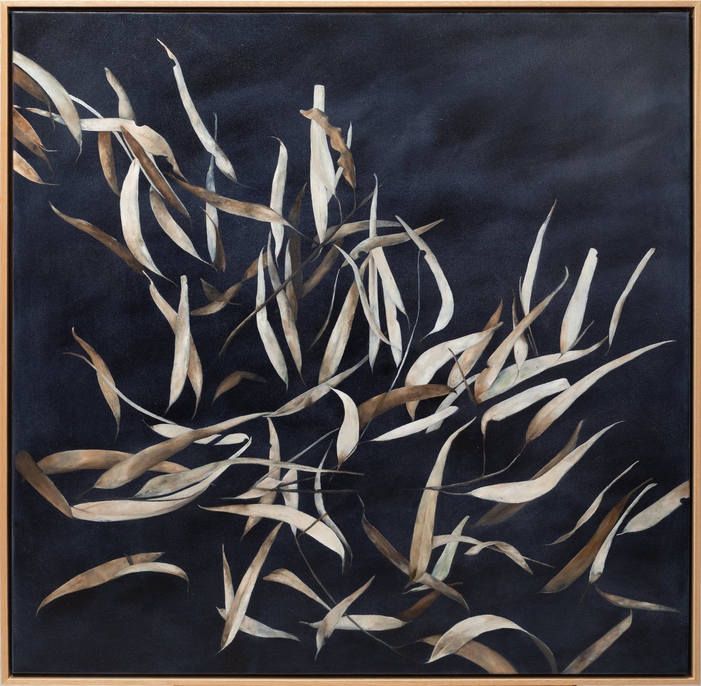Dancing by Tara Stower - Studio One Noosa