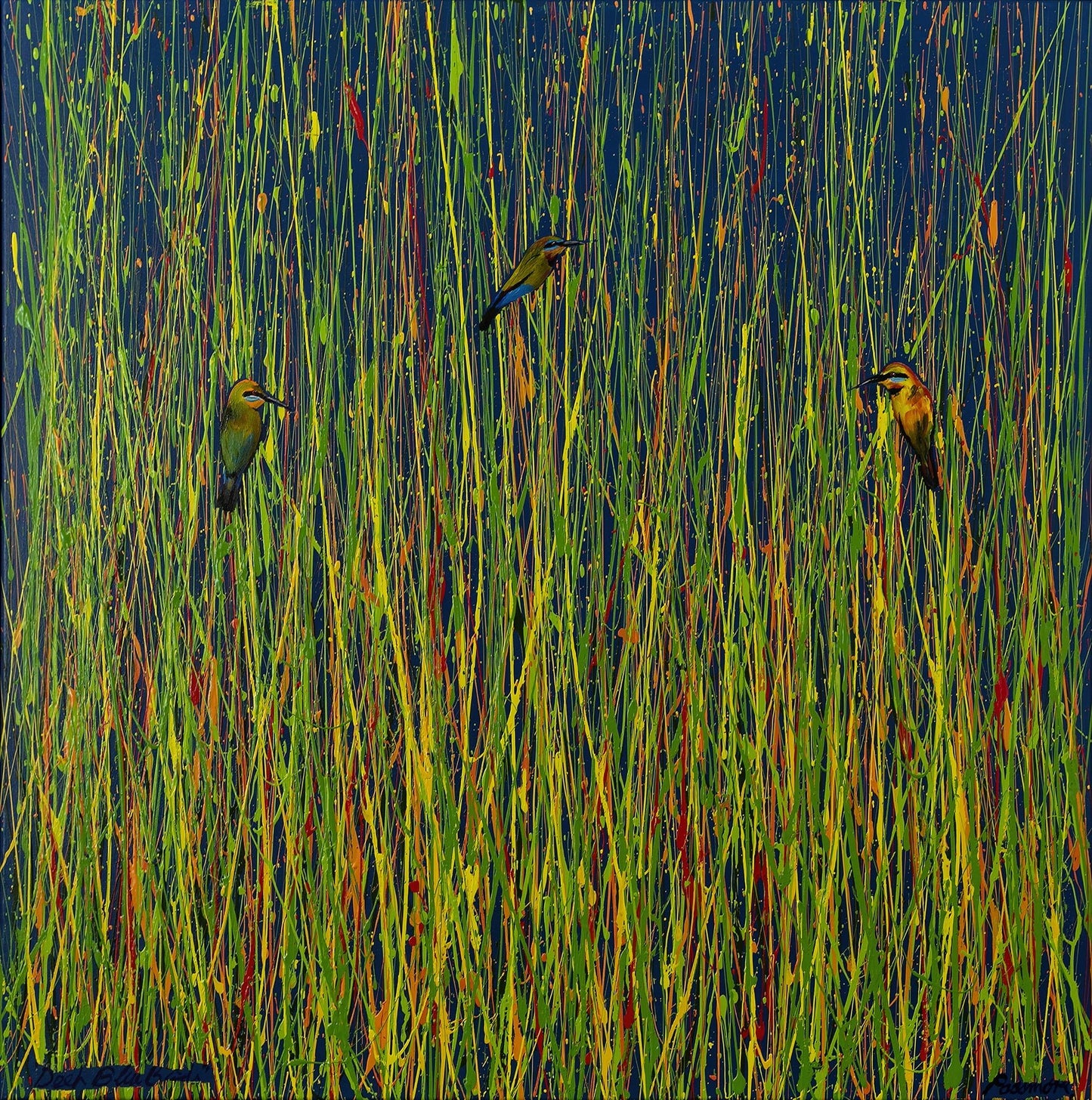 Deep Blue Birds - Fine Art Prints - LIMITED EDITION - Studio One Noosa