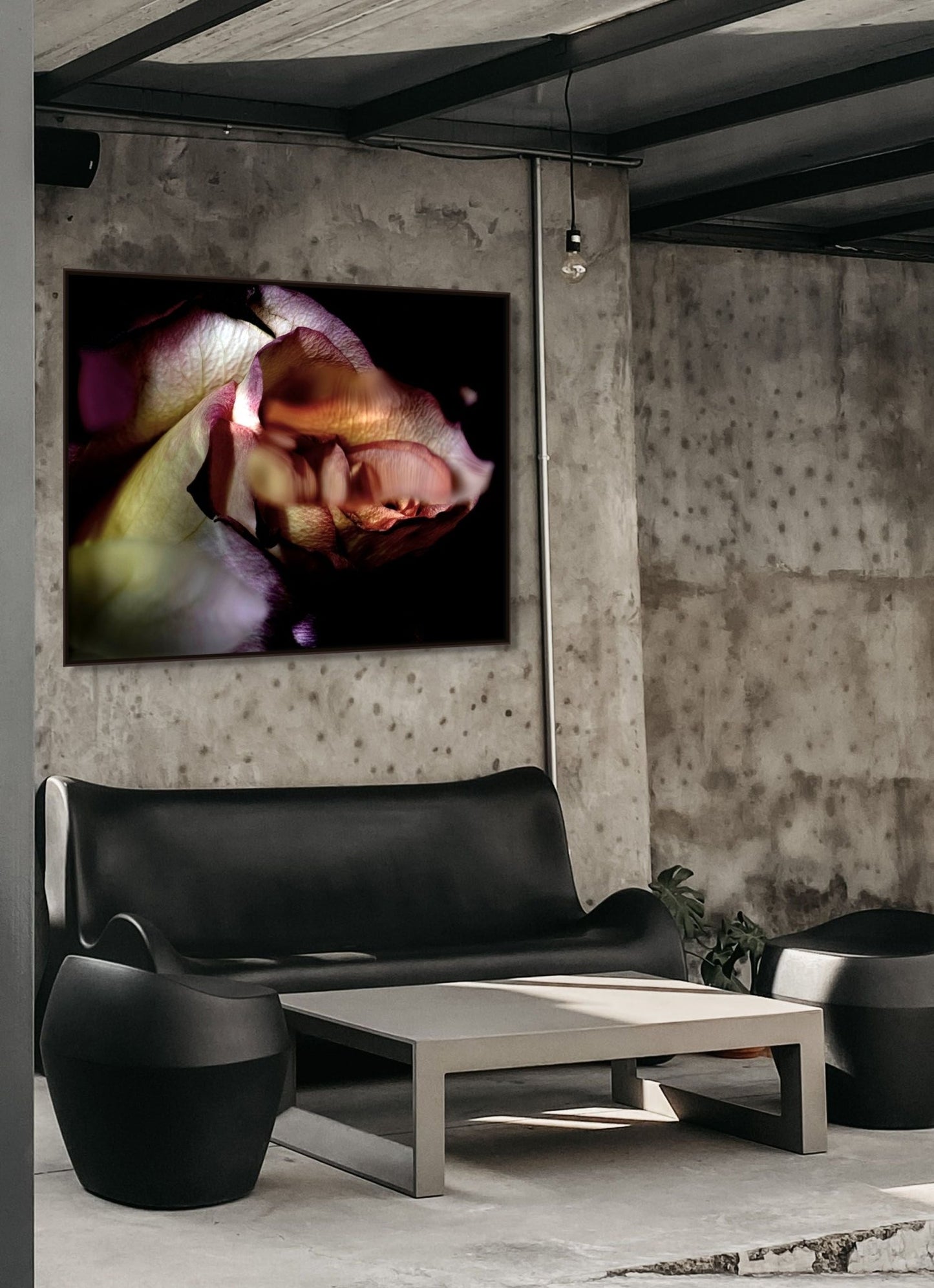 Dys - Tortion 2 - Fine Art Prints - Studio One Noosa