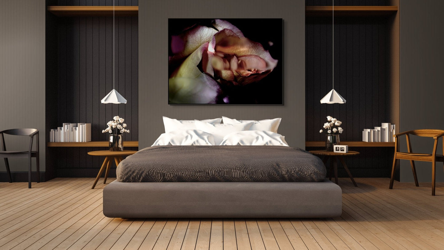 Dys - Tortion 2 - Fine Art Prints - Studio One Noosa