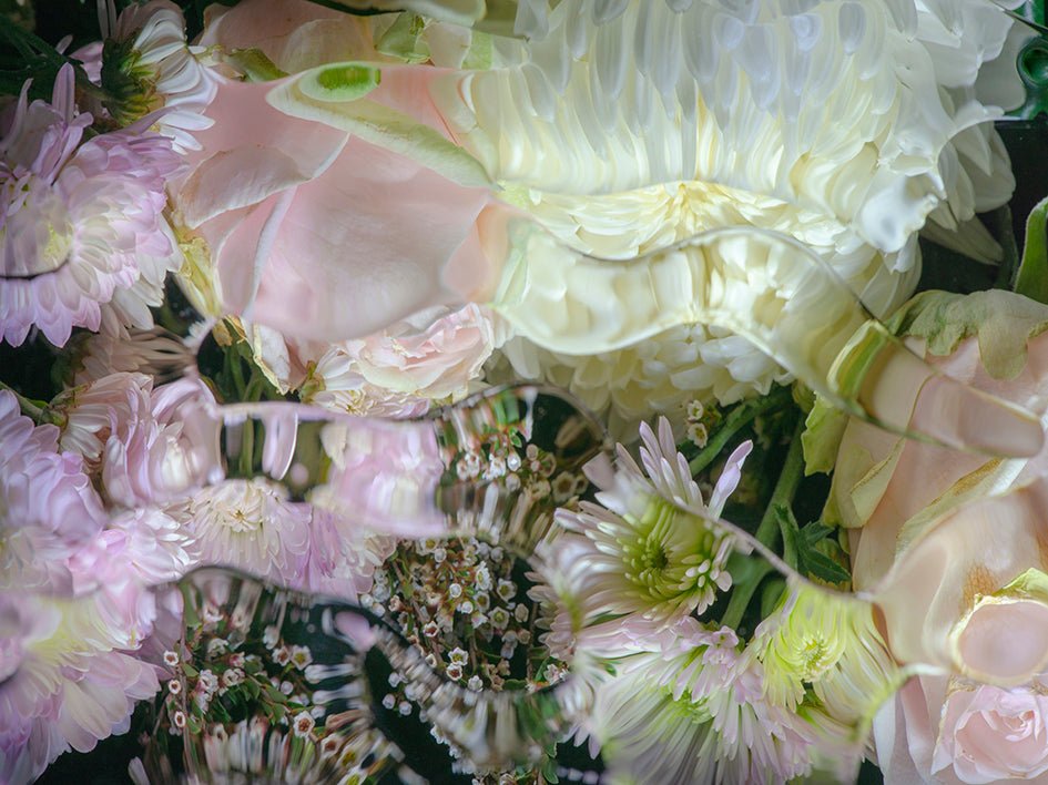 Gen - Fine Art Prints - Studio One Noosa