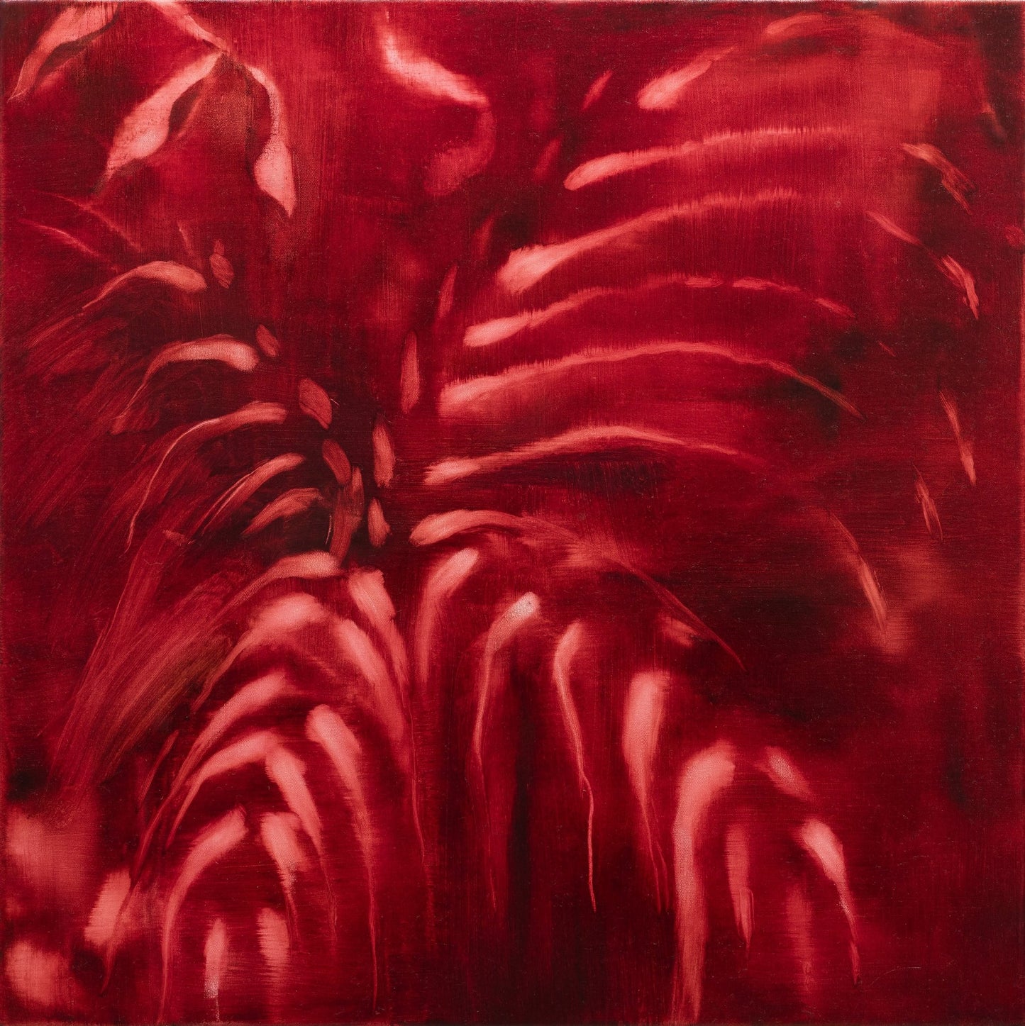 Light on the Forest Floor by Fiona Bastow - Studio One Noosa