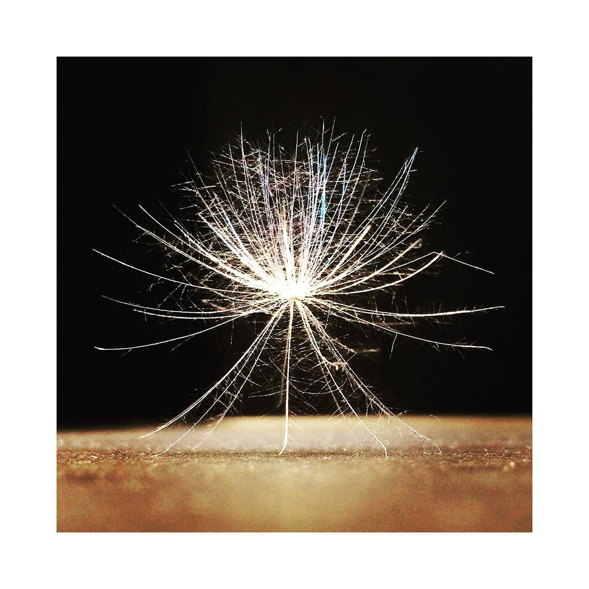 Make a Wish - Fine Art Prints - Studio One Noosa