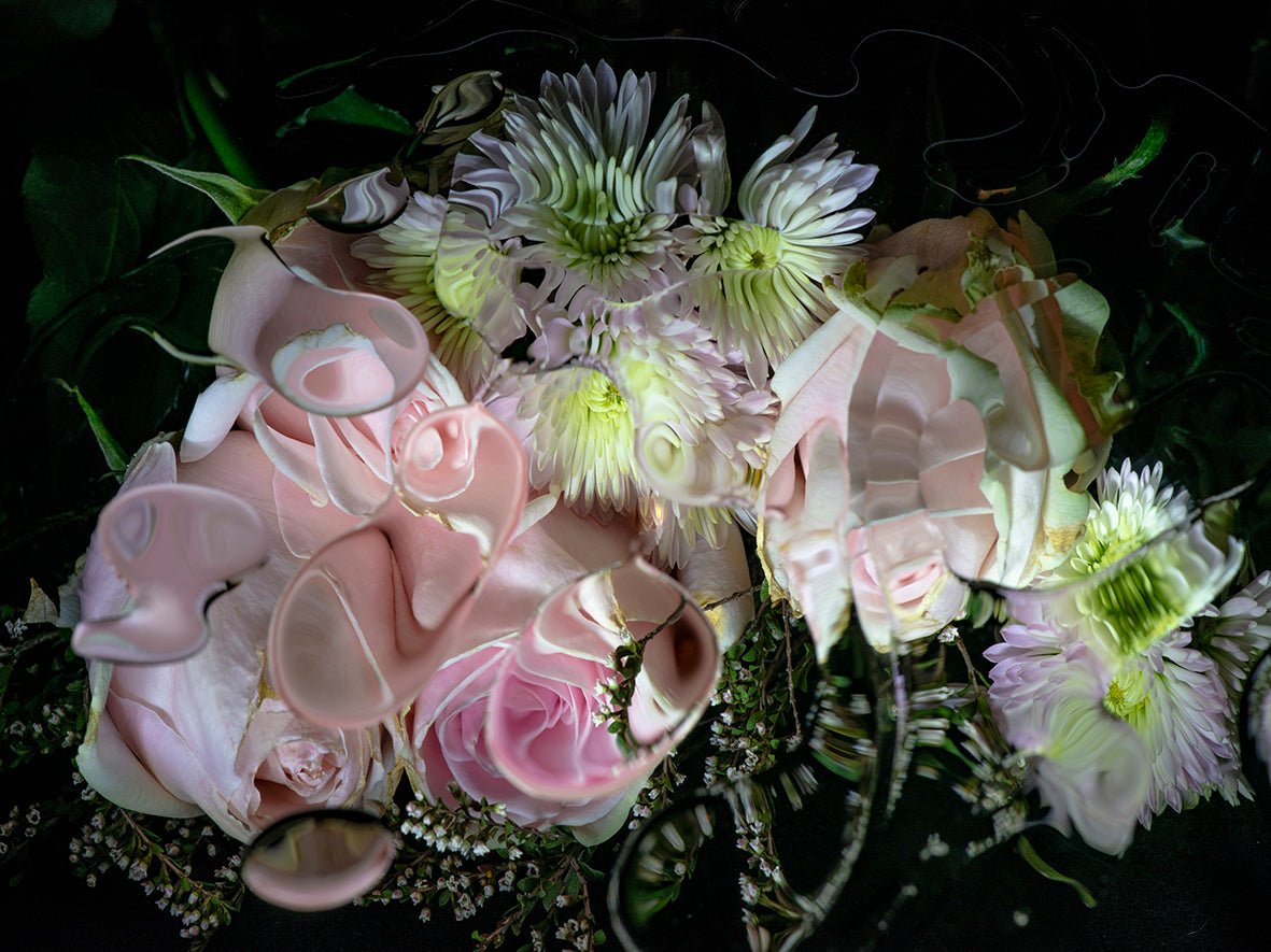 Mid 2 - Fine Art Prints - Studio One Noosa