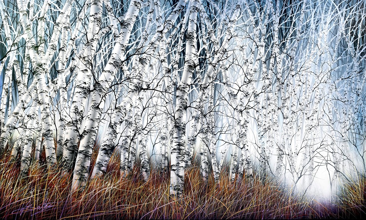 Renewal - Birch Forest Series - Original - Studio One Noosa