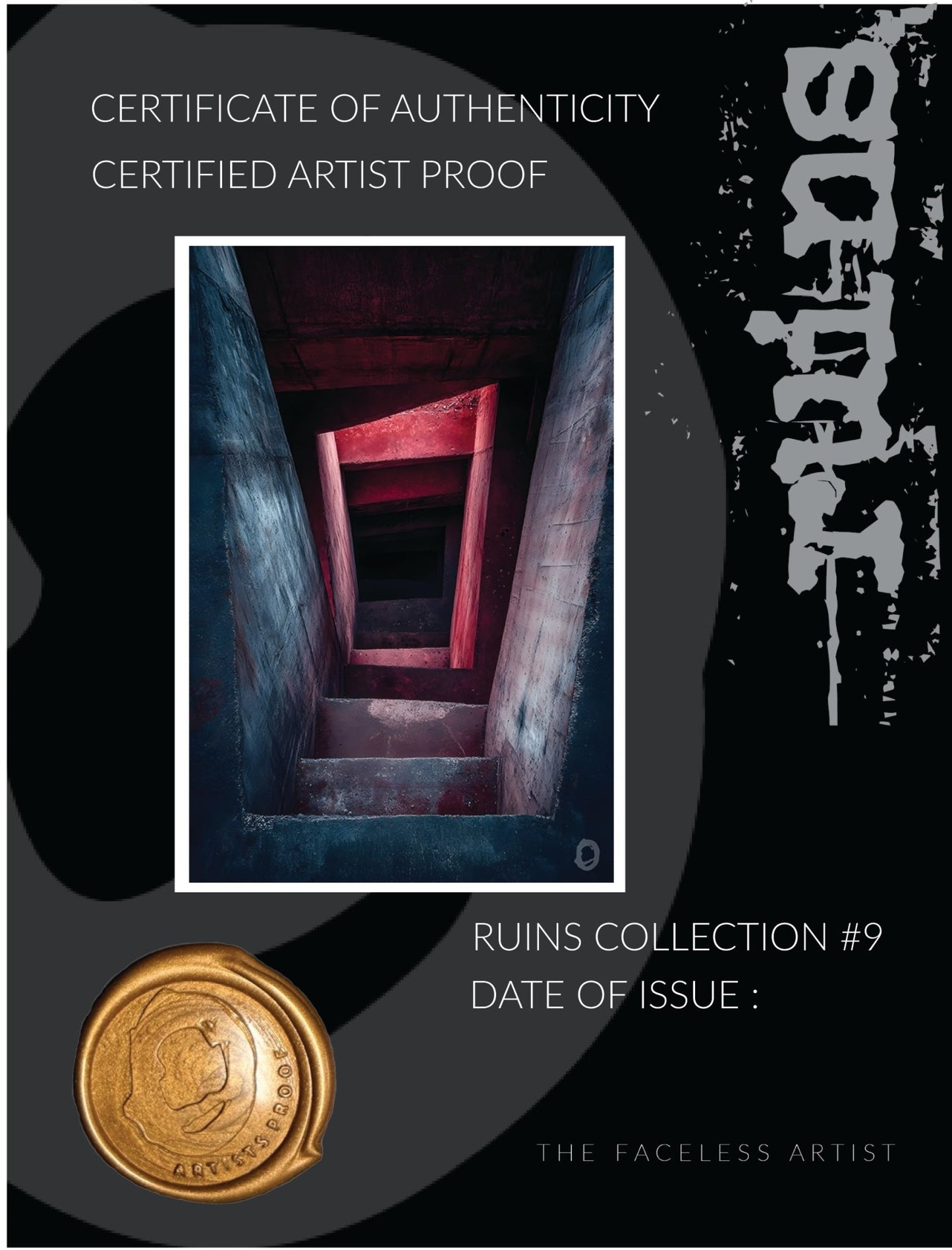 RUIN'S #09 - Artist Proof - Signed & Certified - Studio One Noosa
