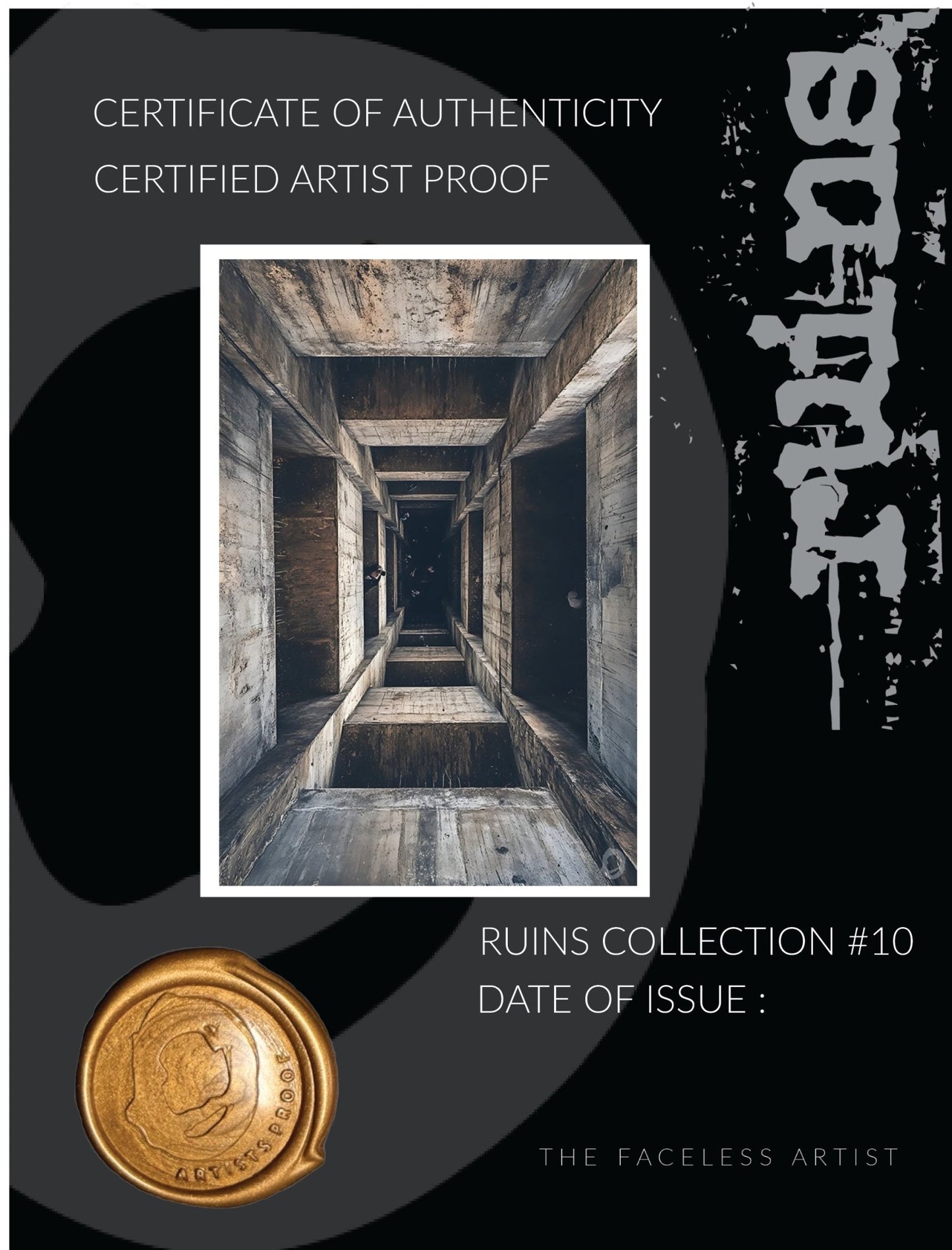 RUIN'S #10 - Artist Proof - Signed & Certified - Studio One Noosa