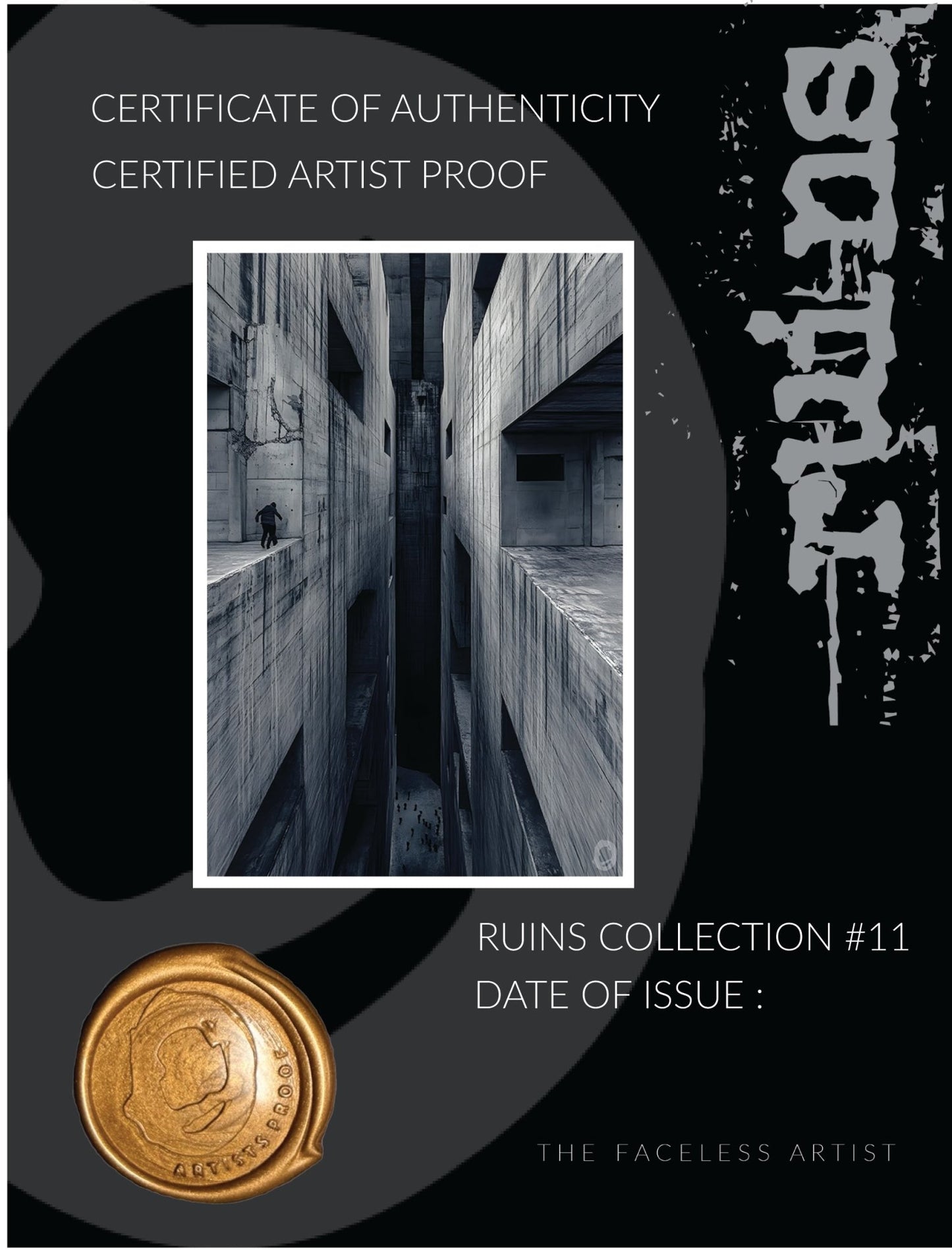 RUIN'S #11 - Artist Proof - Signed & Certified - Studio One Noosa