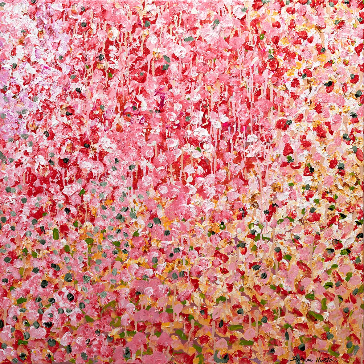 Strawberries & Cream - Studio One Noosa