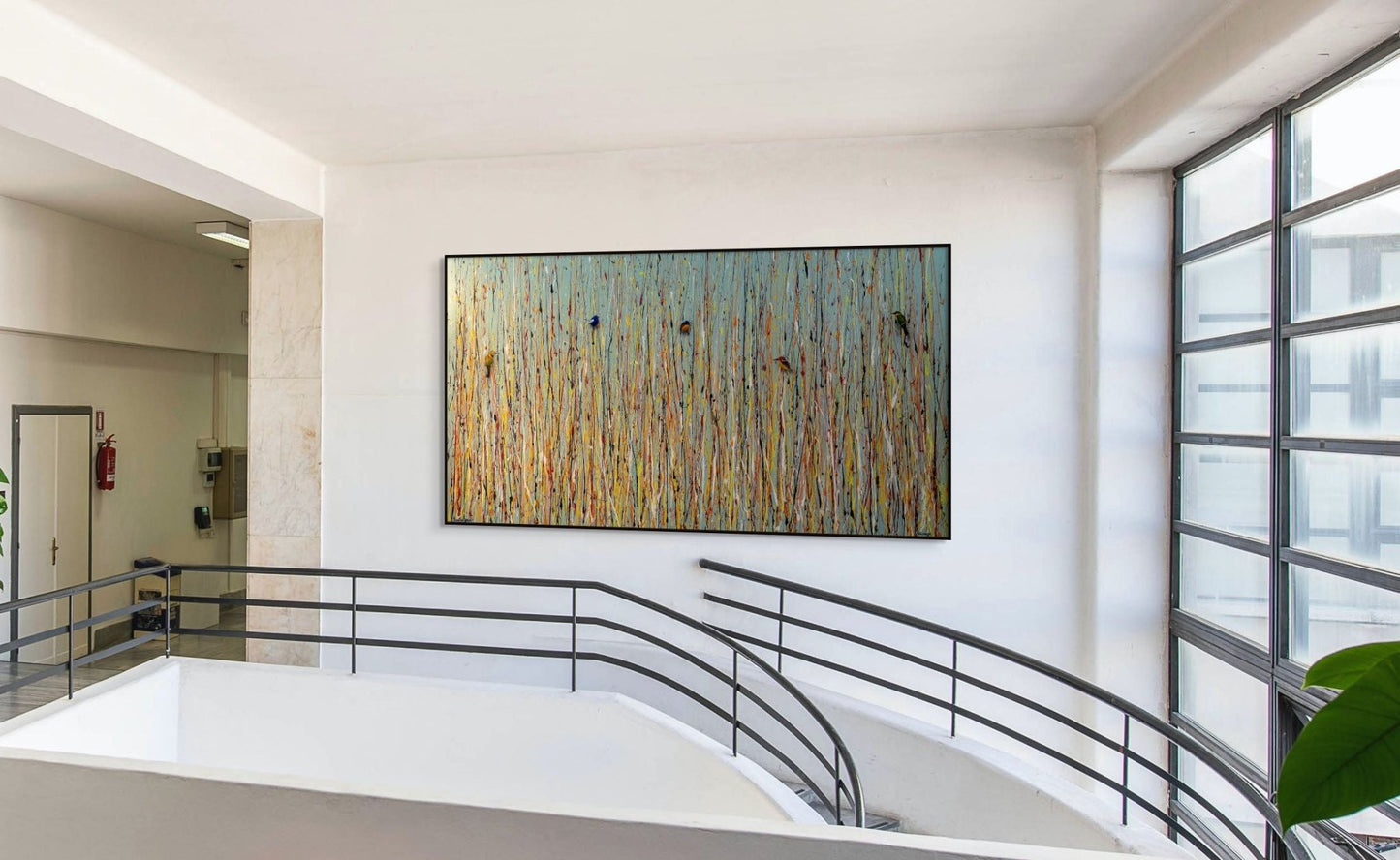 Summer Grass - Fine Art Prints - LIMITED EDITION - Studio One Noosa