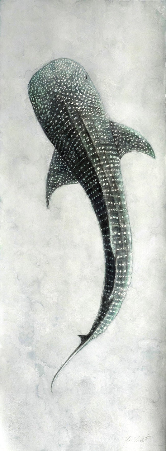 When Stars Fall into the Sea - LIMITED EDITION - Fine Art Prints - Studio One Noosa