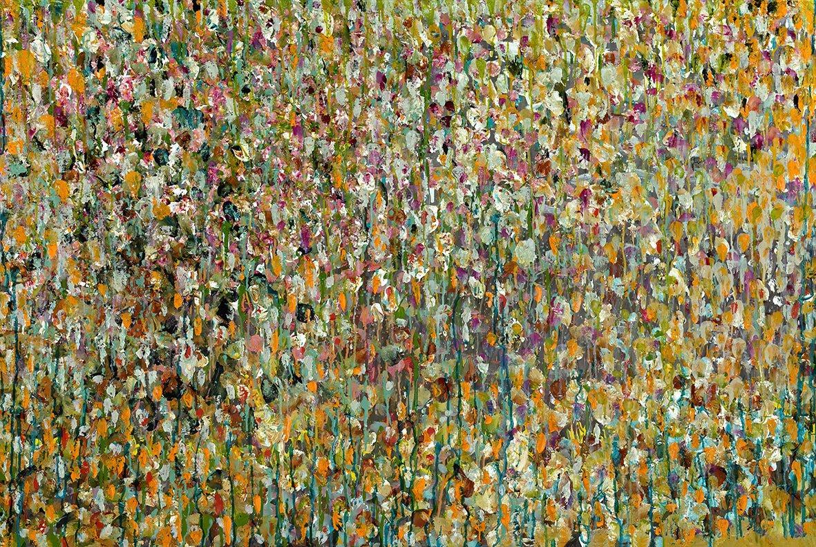 Wildflowers of WA - Fine Art Prints - LIMITED EDITION - Studio One Noosa