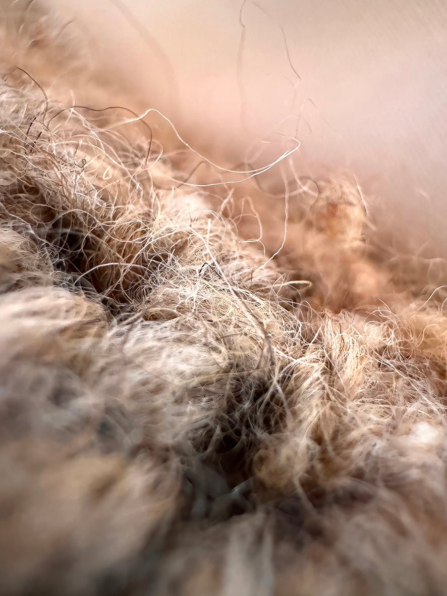 Wool - Fine Art Prints - Studio One Noosa