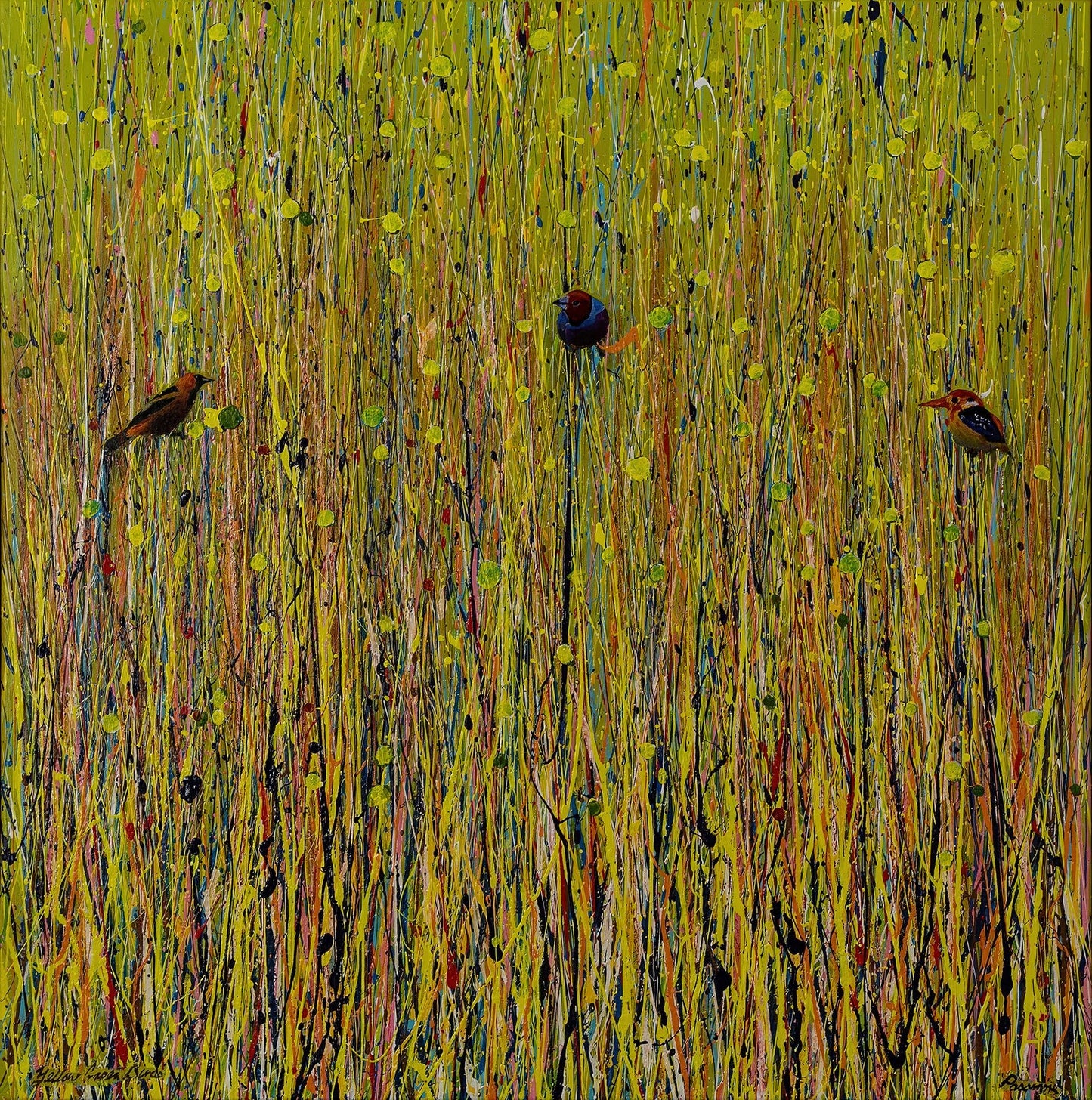 Yellow Grass Birds - Fine Art Prints - LIMITED EDITION - Studio One Noosa