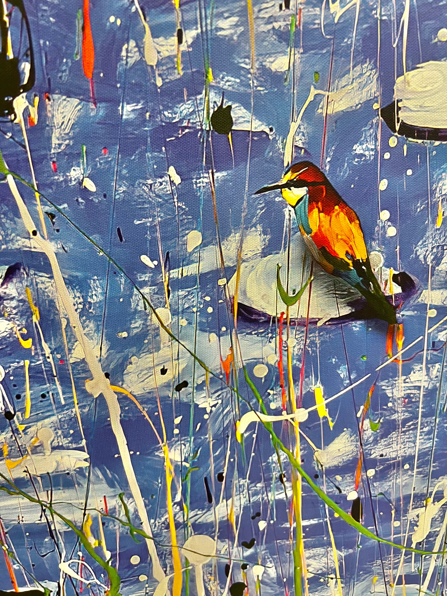 Pond Birds - Fine Art Prints - LIMITED EDITION