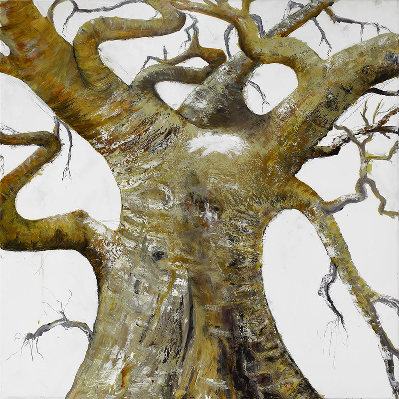 Trish Sheppard - Originals & Fine Art Prints - Studio One Noosa