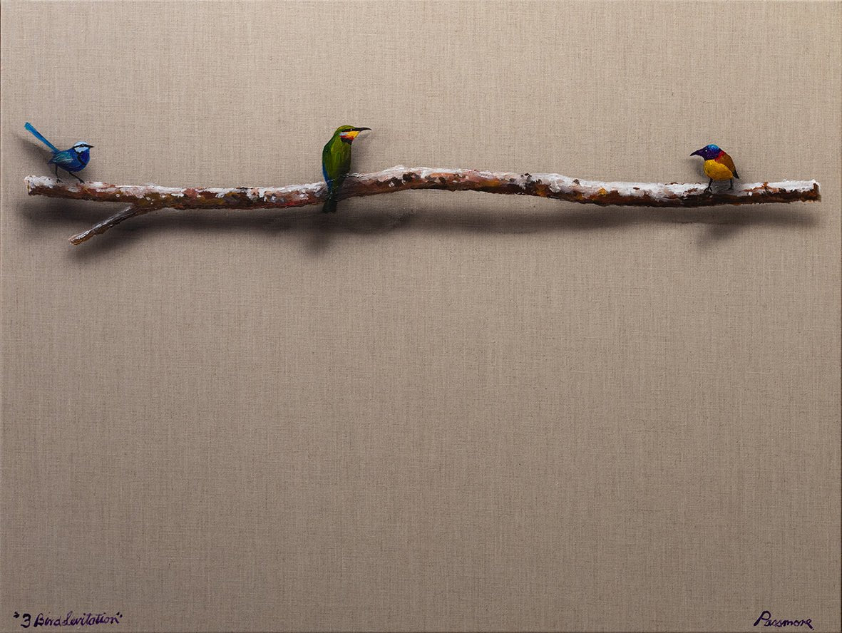 3 Bird Levitation - Fine Art Prints - LIMITED EDITION - Studio One Noosa