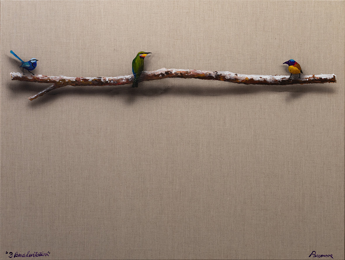 3 Bird Levitation - Fine Art Prints - LIMITED EDITION