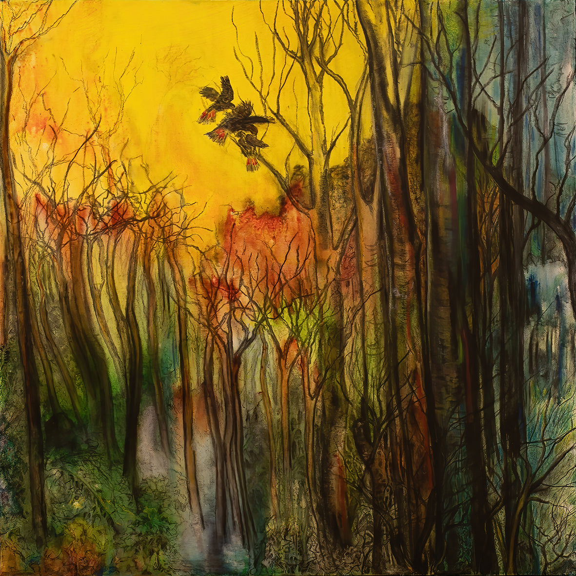 After the Bushfire - Fine Art Print