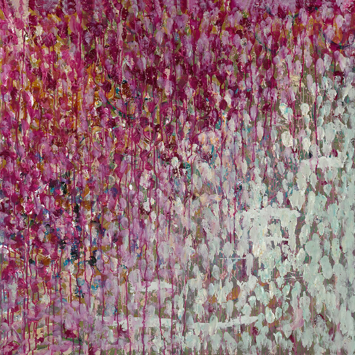 Pink Primrose - Fine Art Prints - LIMITED EDITION