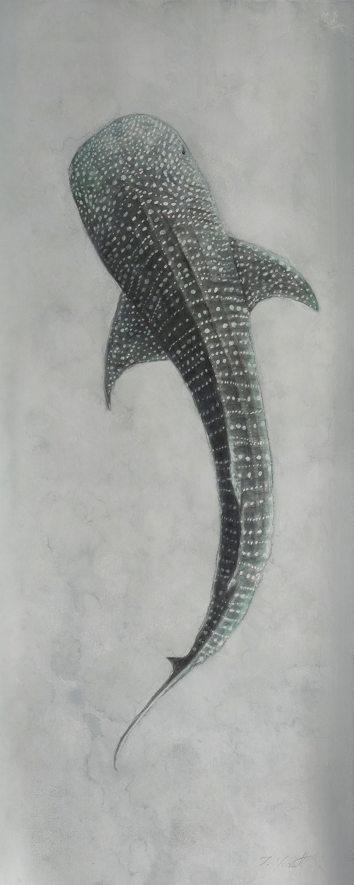 When Stars Fall into the Sea - LIMITED EDITION - Fine Art Prints
