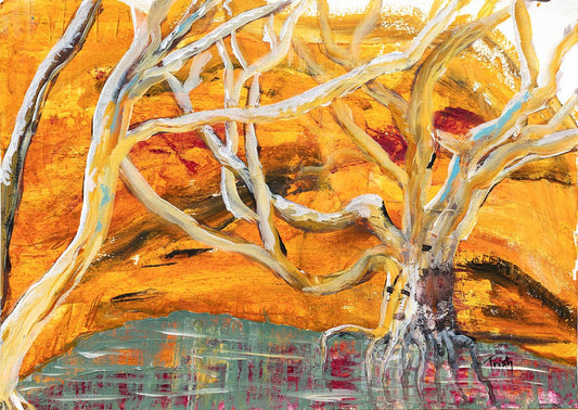 At the Gorge - Fine Art Print - Studio One Noosa