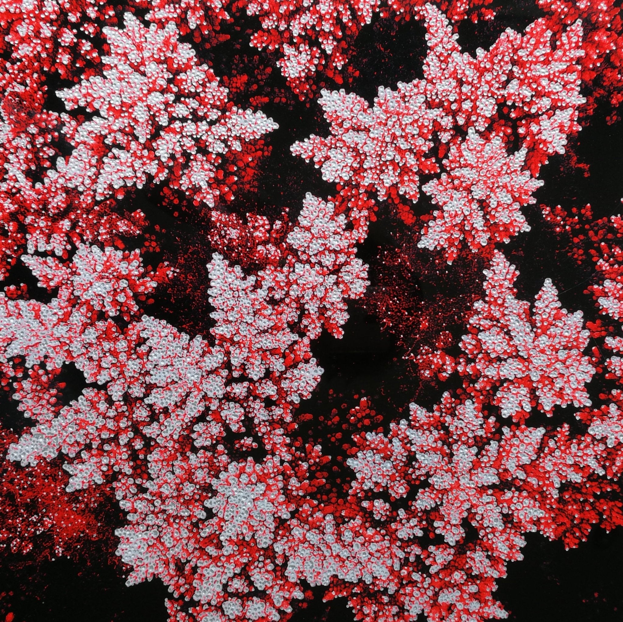 Coral Notes 1 - Original by Beatrice Prost – Studio One Noosa