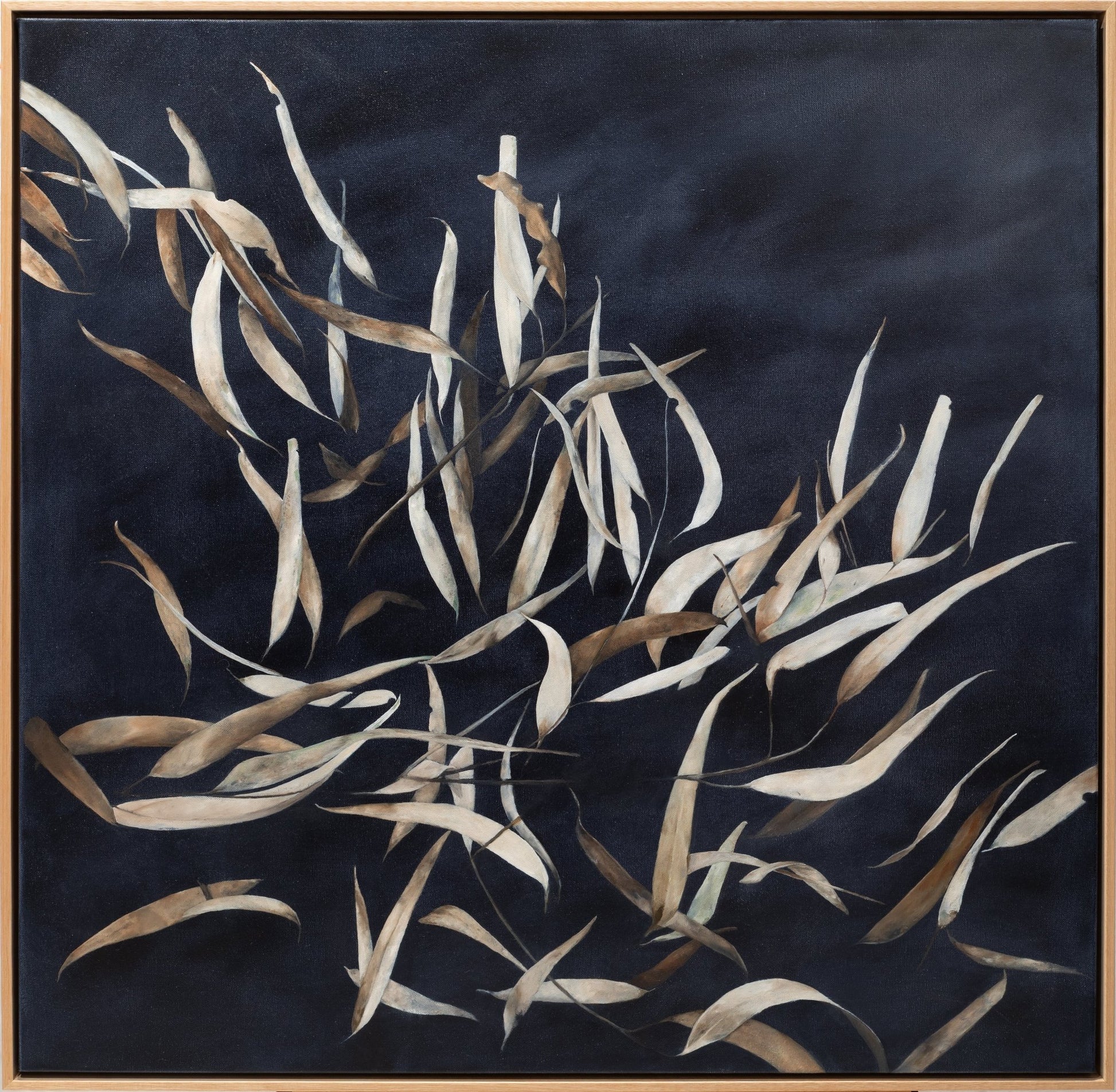 Dancing by Tara Stower - Studio One Noosa