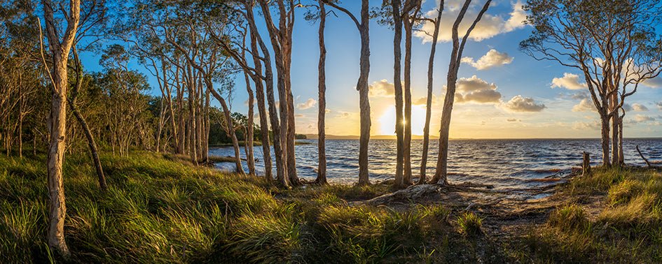 Early Light - Studio One Noosa