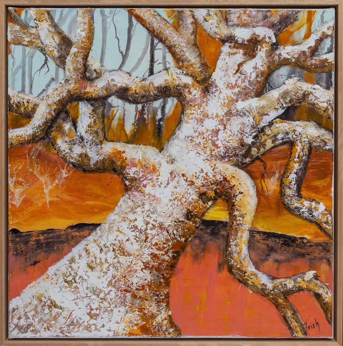 Falling From Grace by Trish Sheppard - Studio One Noosa