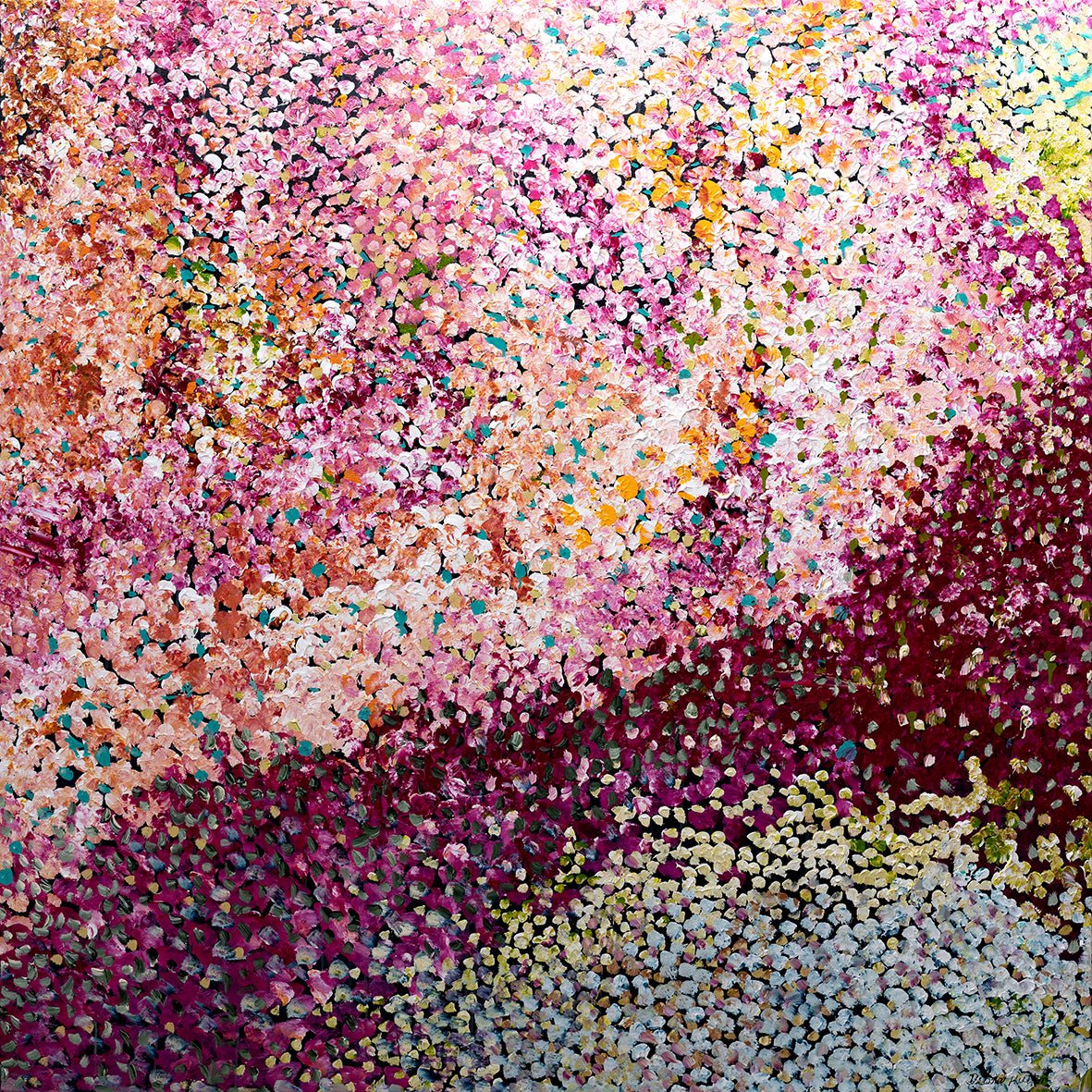 Galaxy of Flowers - Studio One Noosa