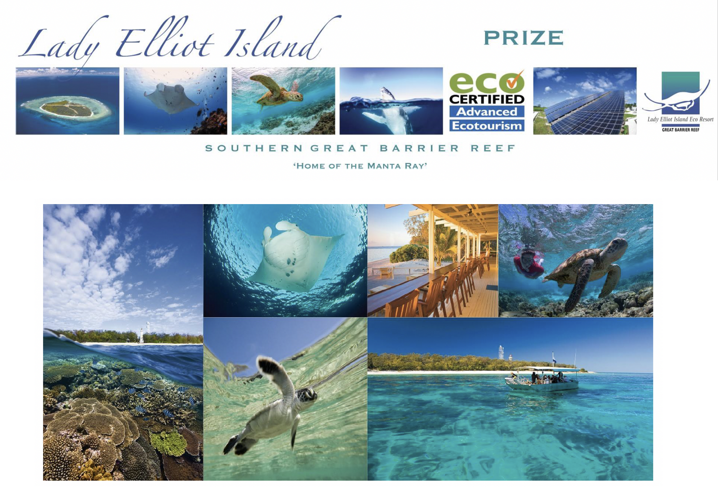 Great Barrier Reef Trip from Bundaberg or Hervey Bay for 2 adults including lunch to Lady Elliott Island Valued at $1190 - Studio One Noosa