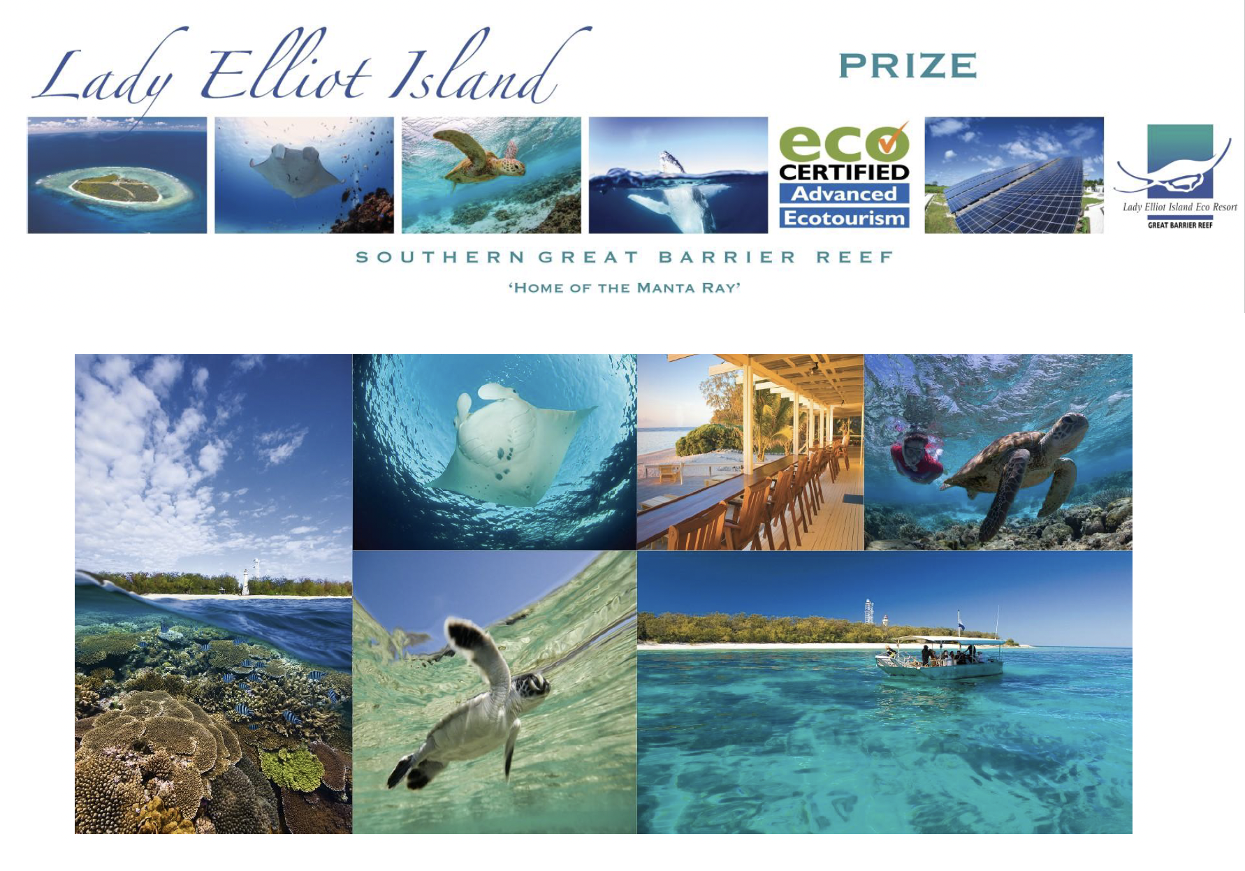 Great Barrier Reef Trip from Bundaberg or Hervey Bay for 2 adults including lunch to Lady Elliott Island Valued at $1190 - Studio One Noosa
