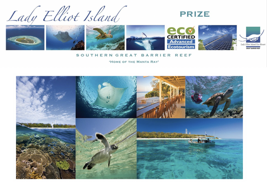 Great Barrier Reef Trip from Bundaberg or Hervey Bay for 2 adults including lunch to Lady Elliott Island Valued at $1190 - Studio One Noosa