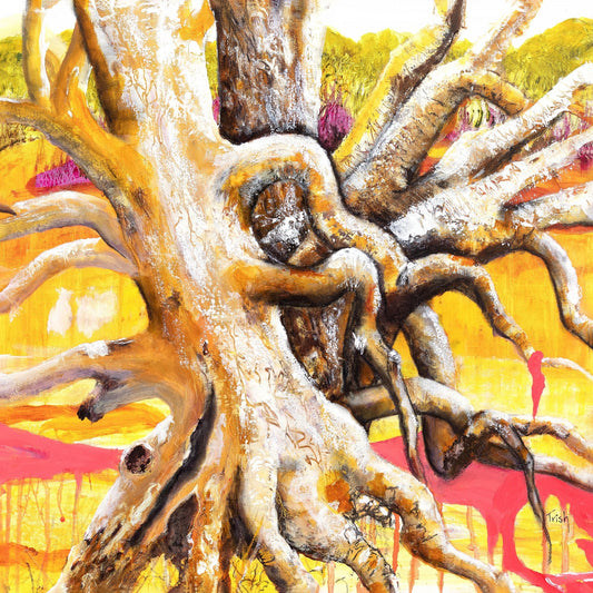 Hanging On by Trish Sheppard - Studio One Noosa