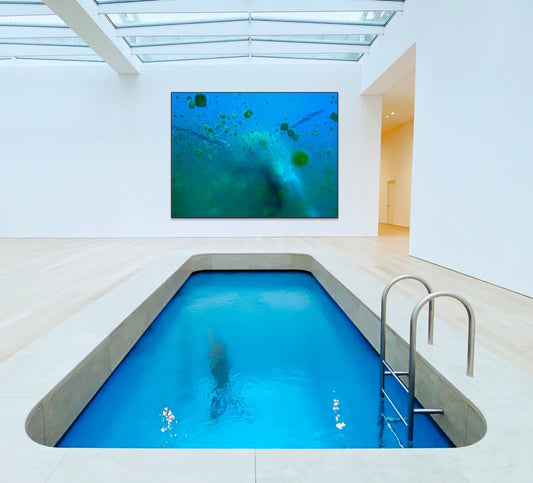 Leatherback Turtle 2 - Fine Art Print - Studio One Noosa