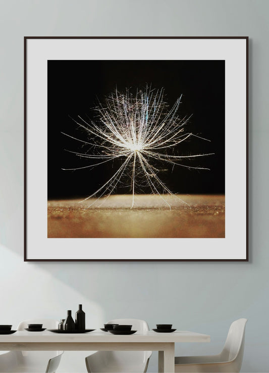 Make a Wish - Fine Art Prints - Studio One Noosa