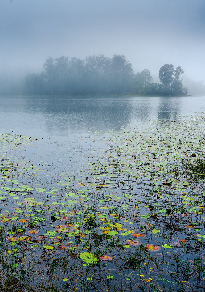 Manchester Mists - Studio One Noosa