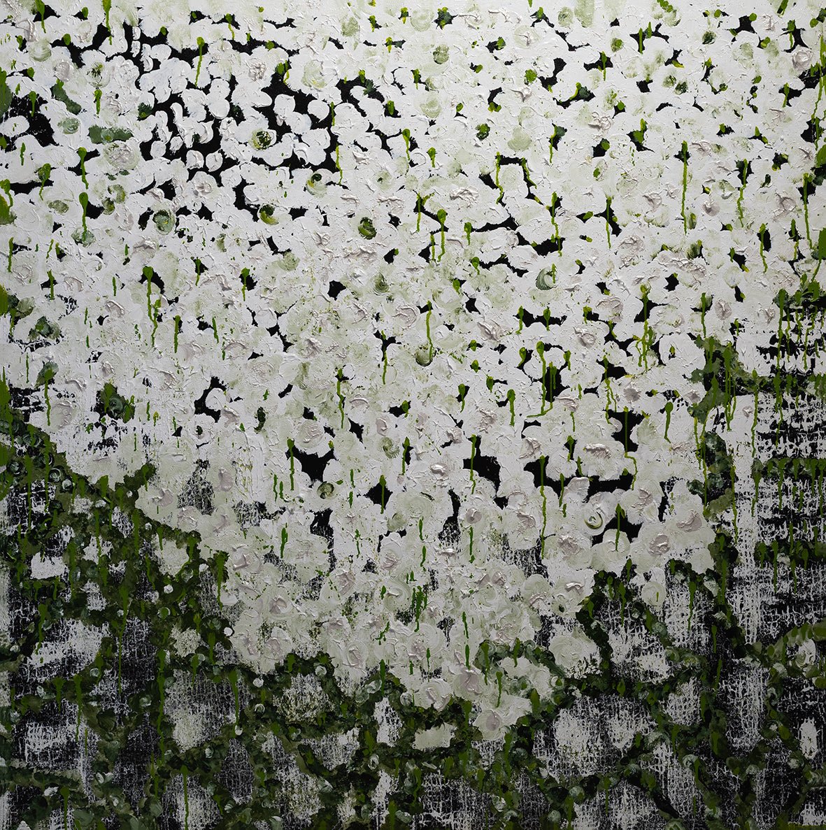 Mum's Kitchen Decor - Fine Art Prints - LIMITED EDITION - Studio One Noosa