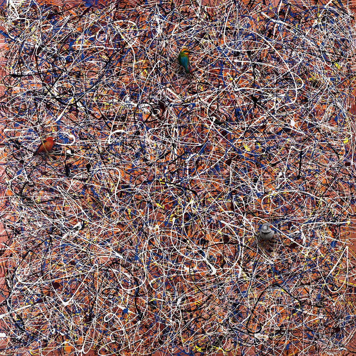 Nesting - Fine Art Print - LIMITED EDITION - Studio One Noosa