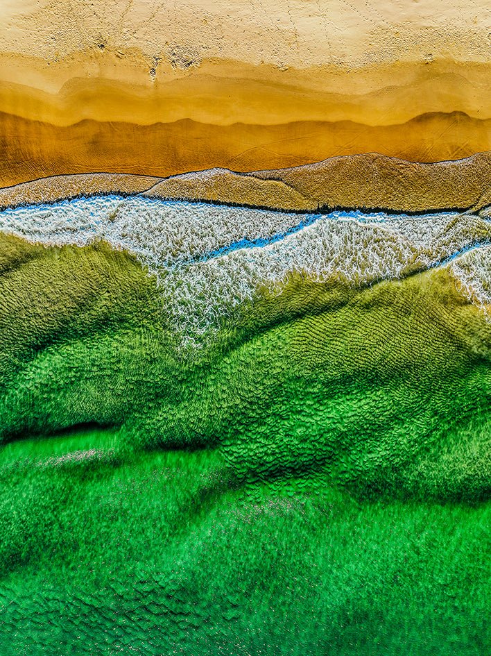 Ocean Fields - Studio One Noosa