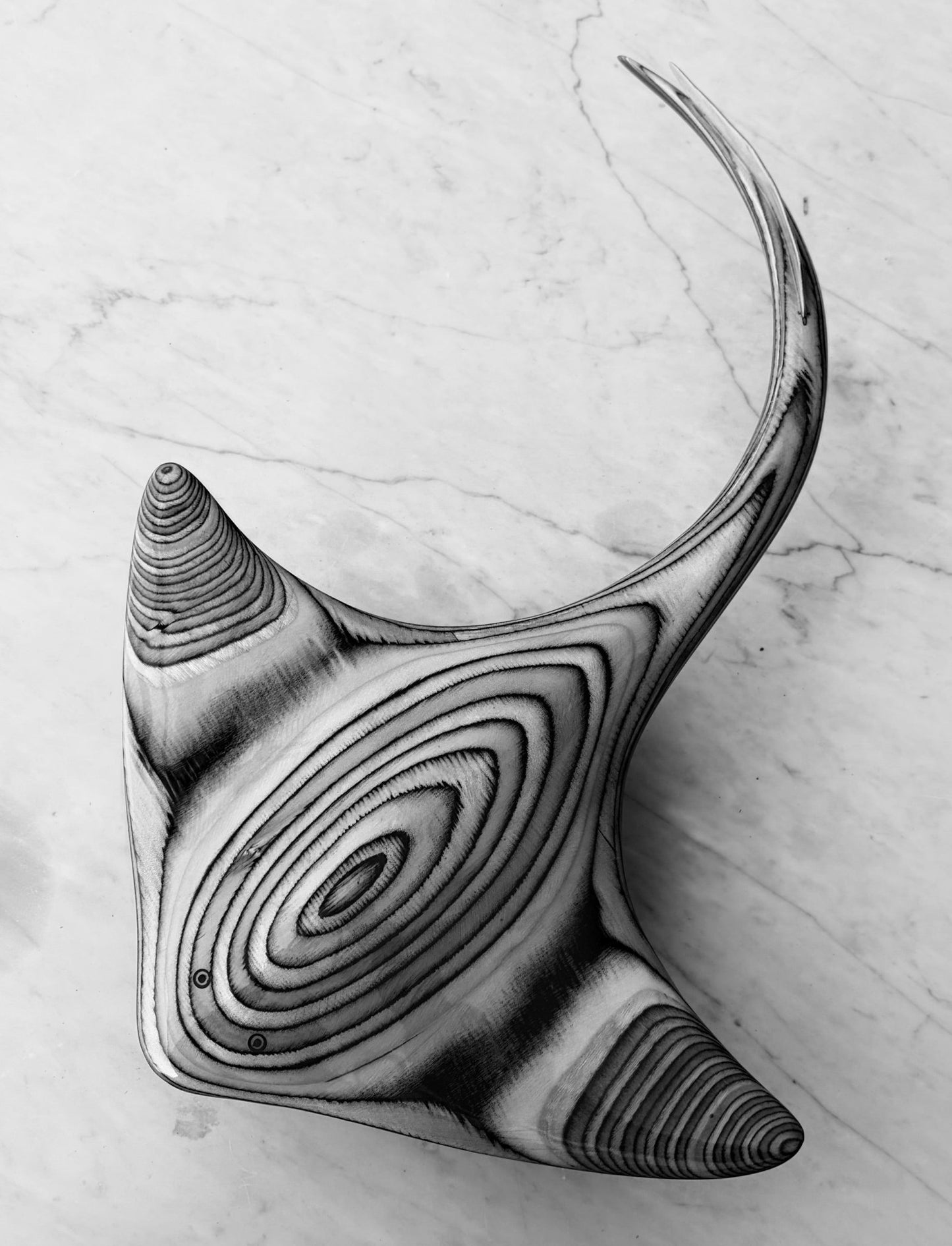 Ocean Flight by Kevin Dick - Studio One Noosa