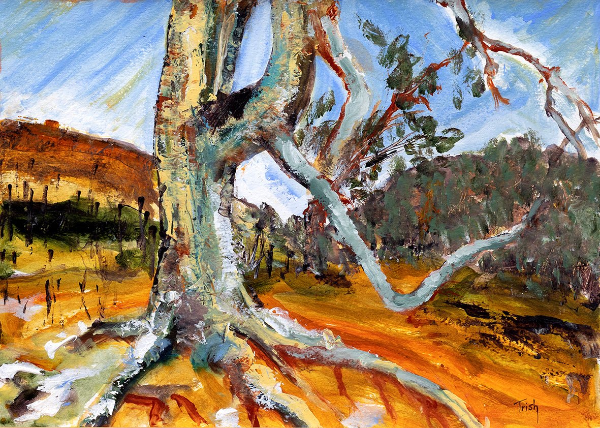 On the Way to Tiboorburra - Fine Art Print - Studio One Noosa