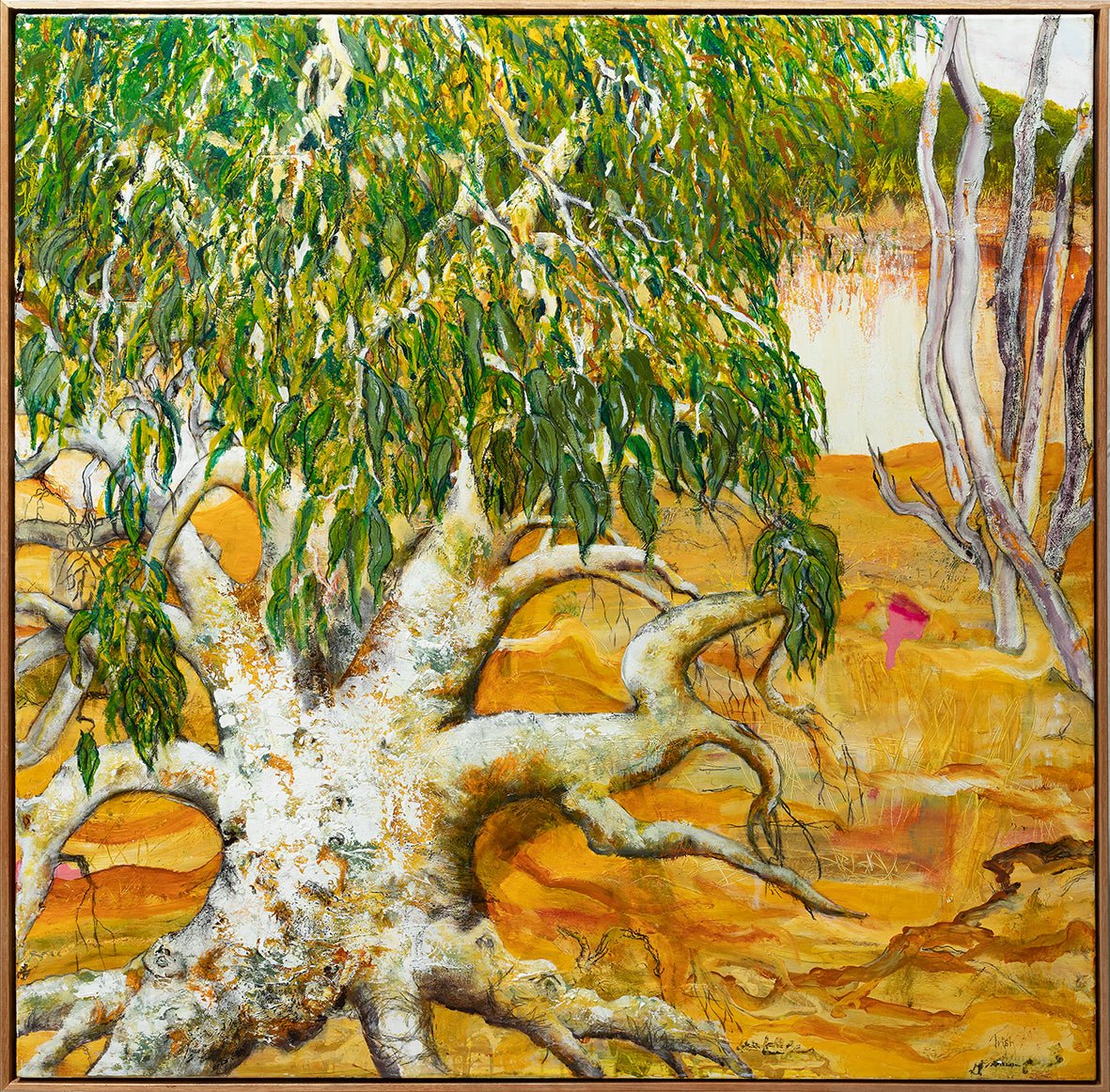 Paroo Gum by Trish Sheppard - Studio One Noosa