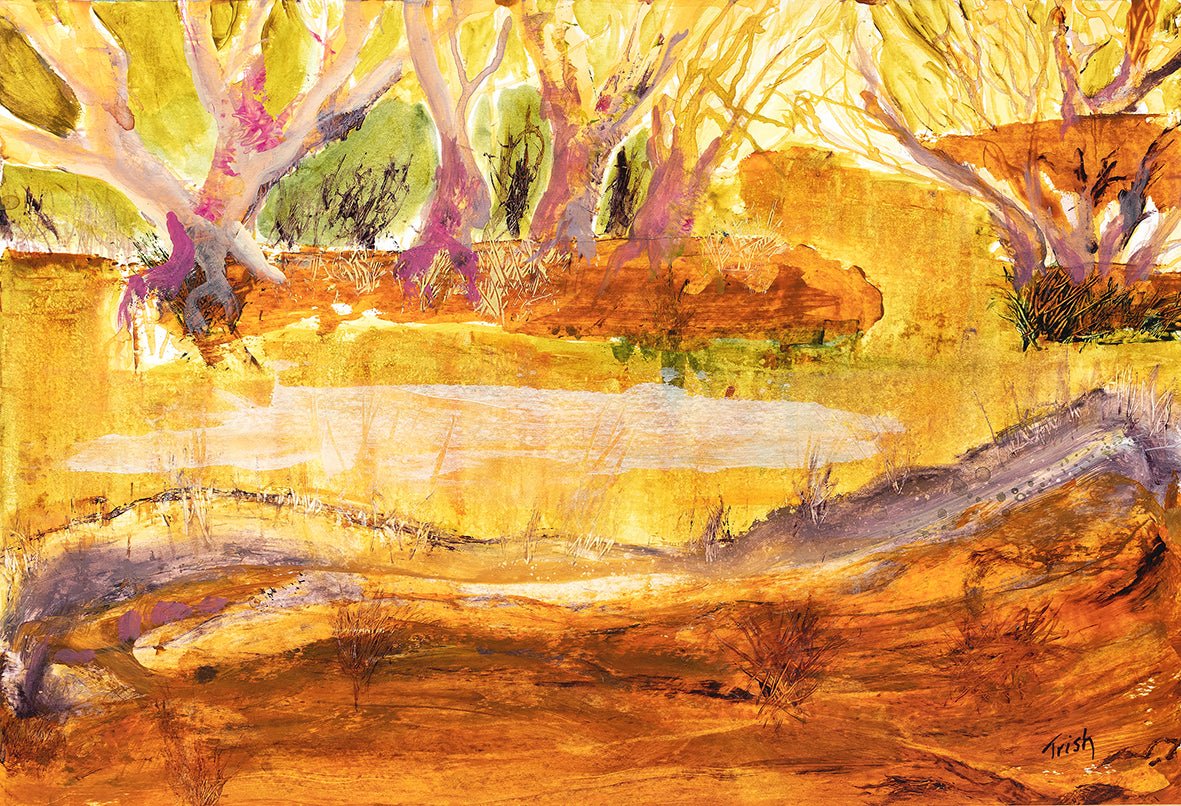 Paroo River Magic - Fine Art Print - Studio One Noosa