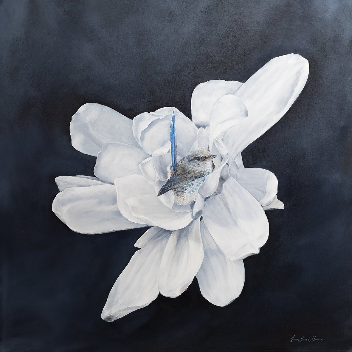 Pause in the Petals by Tara Stower - Studio One Noosa